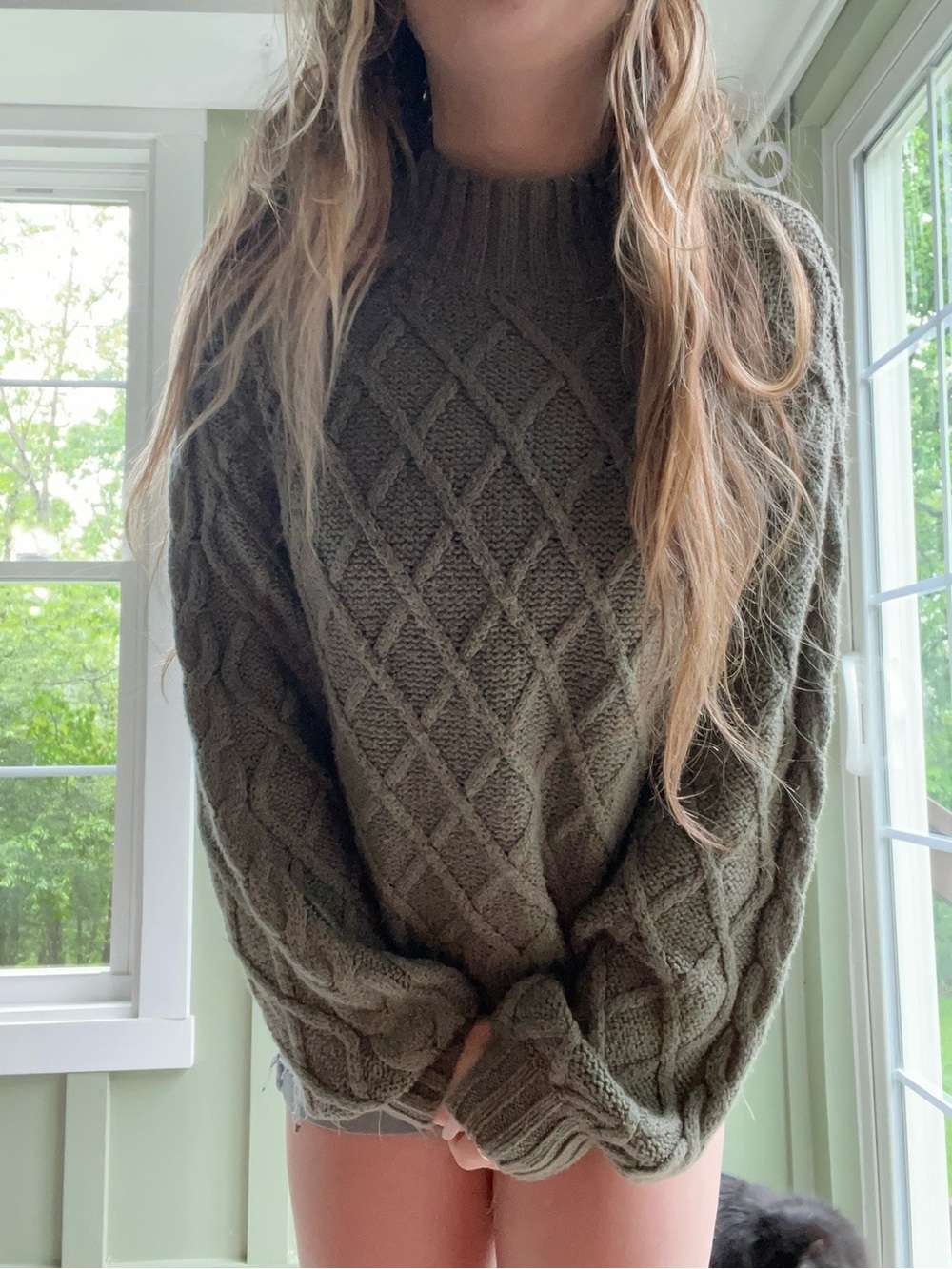 green American eagle knit sweater super